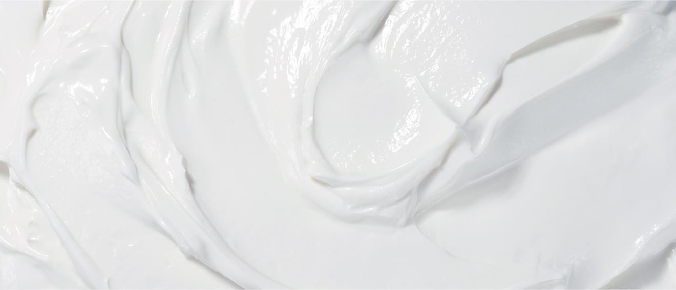 パルテノラインナップ