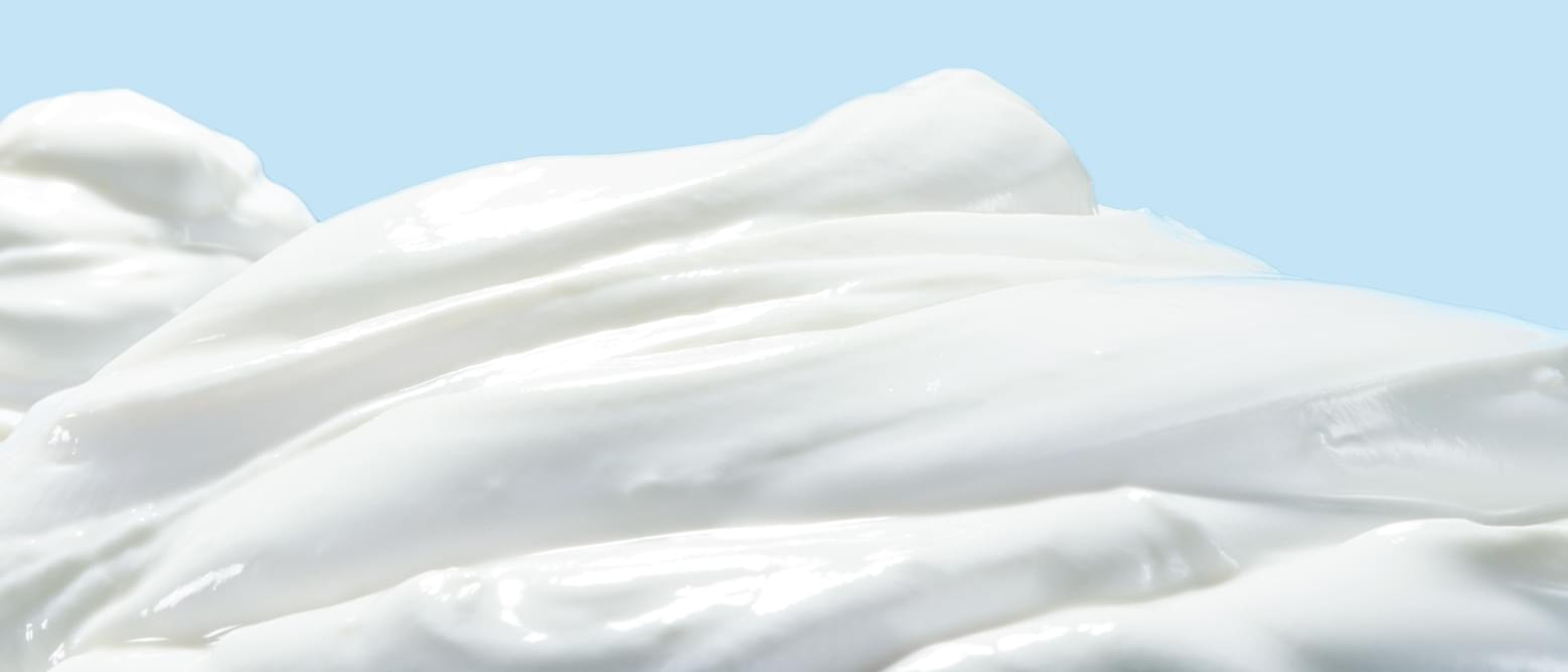 パルテノプレーン砂糖不使⽤220g エリア限定で発売中！