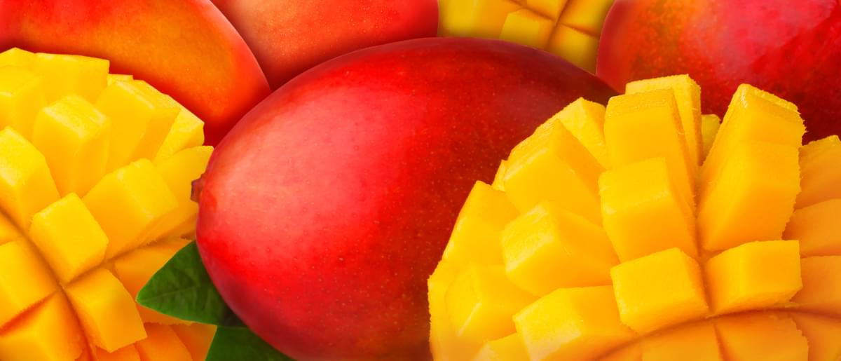 マンゴーソース入 発売中！